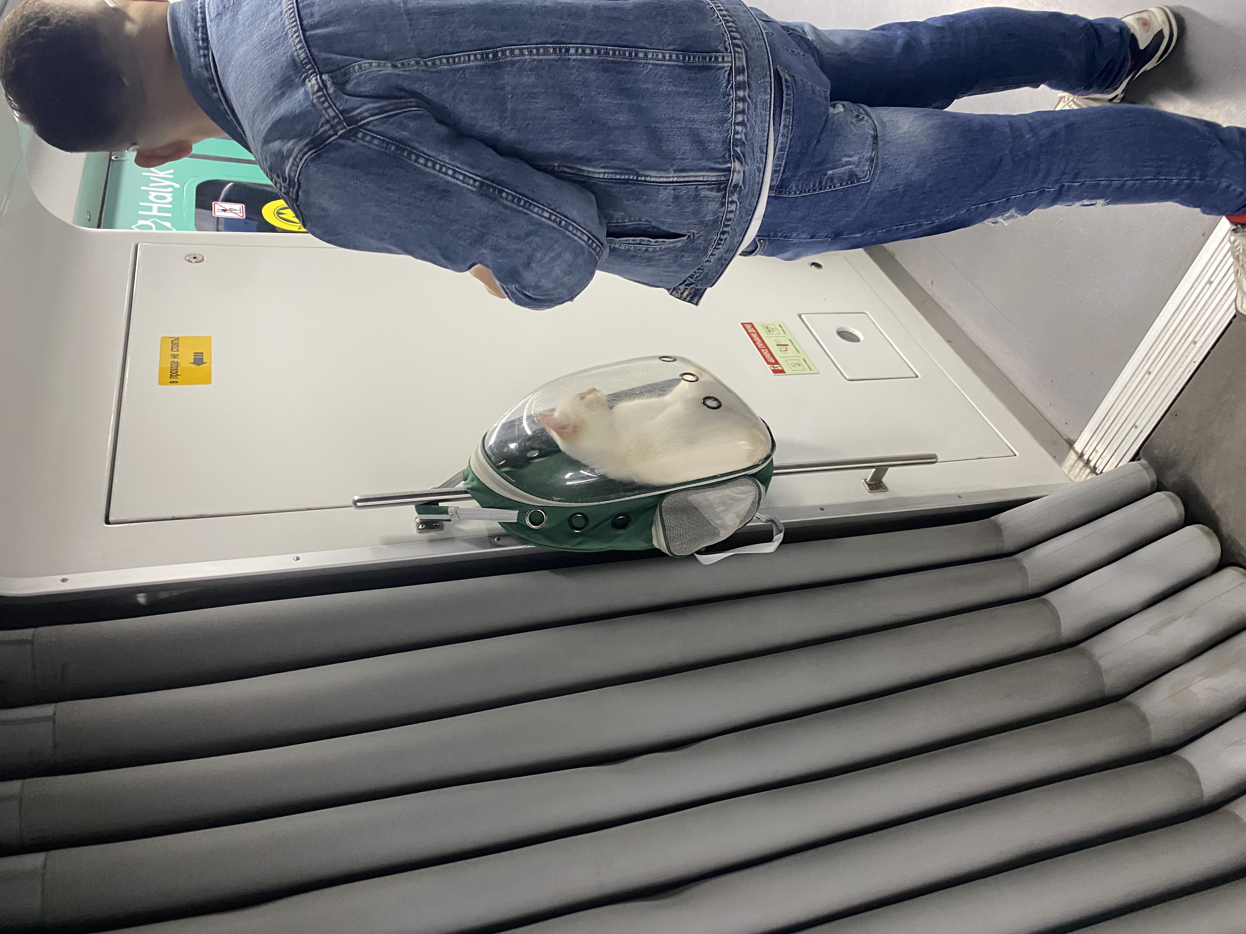 Изображение отзыва 2