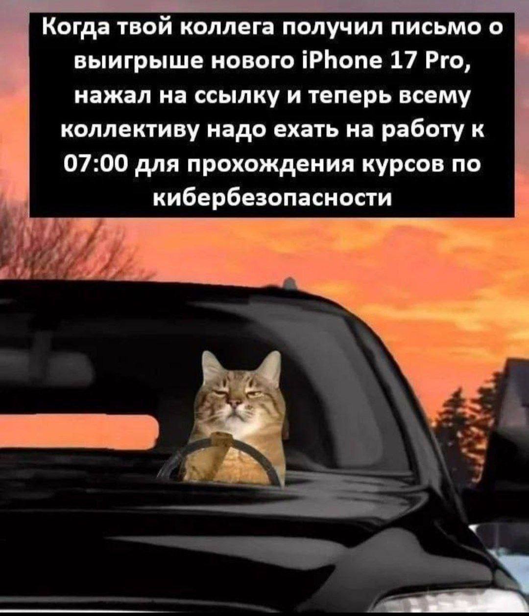 Изображение отзыва 4